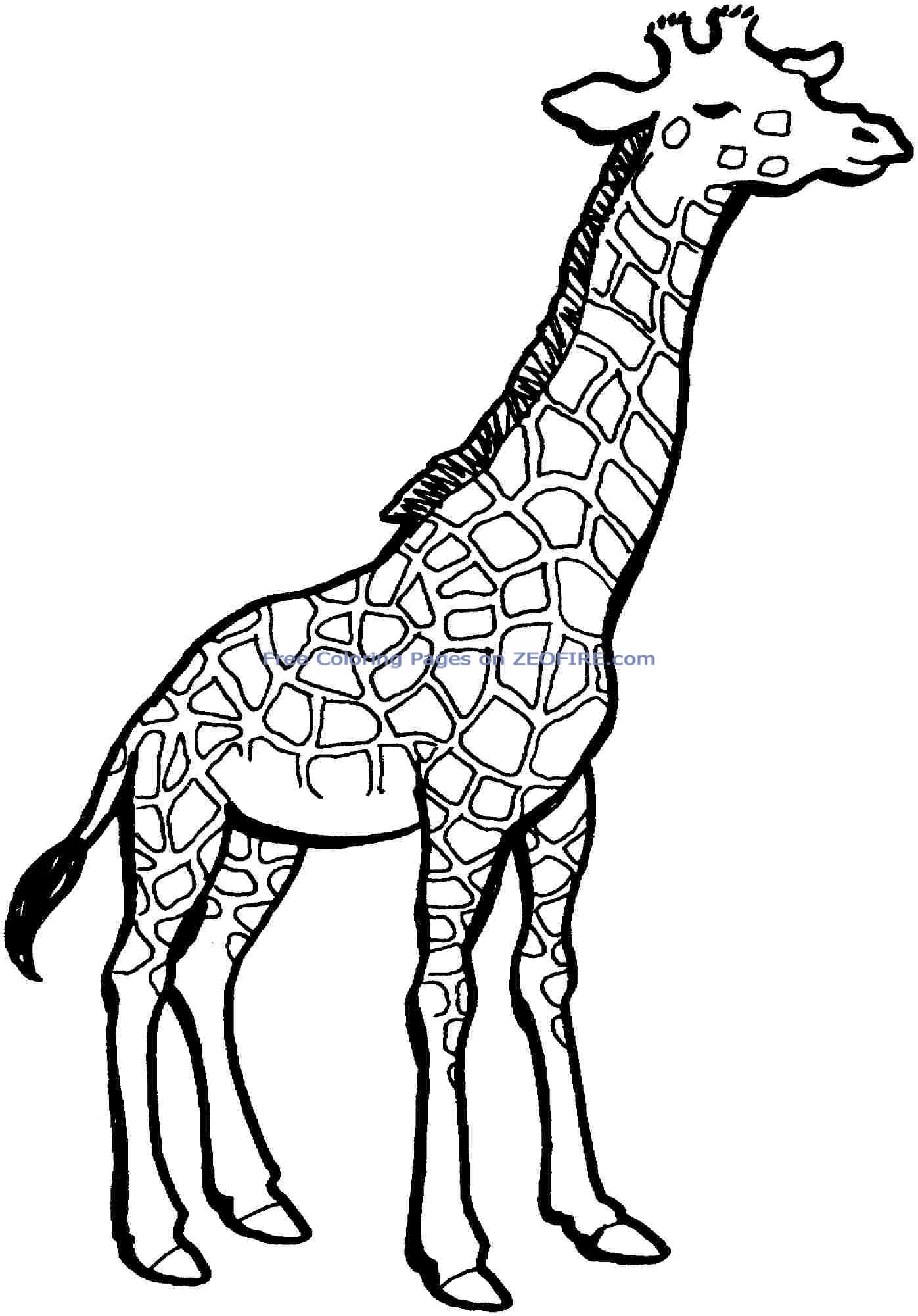 Giraffe Coloring Pages Free Printable 3