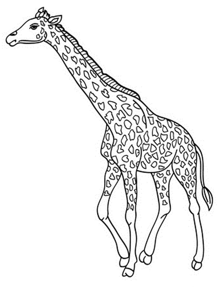 Giraffe Coloring Pages Free Printable 36