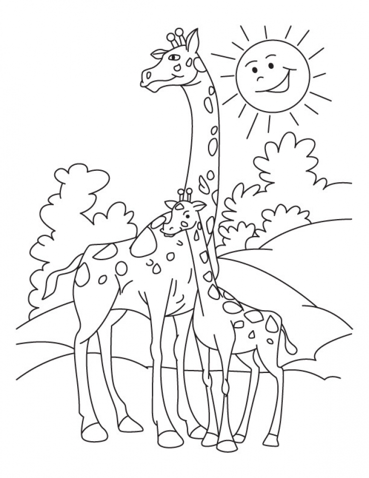 Giraffe Coloring Pages Free Printable 41