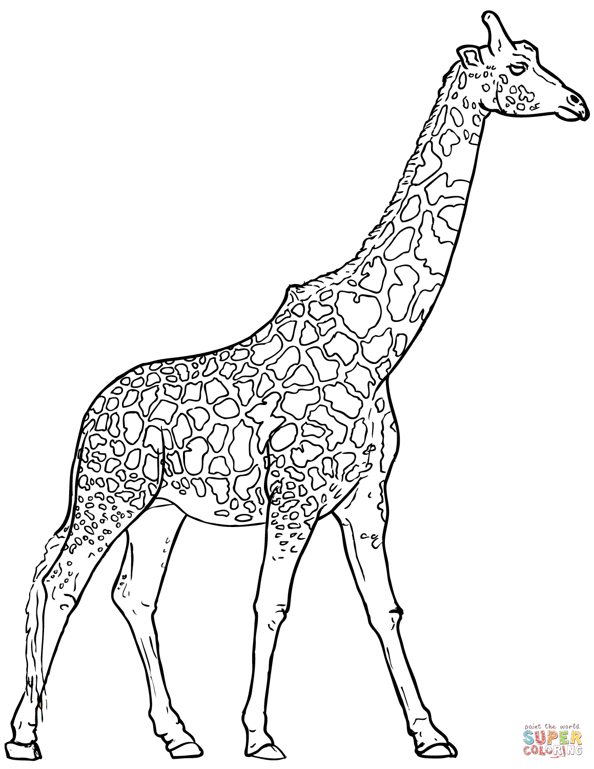 Giraffe Coloring Pages Free Printable 56