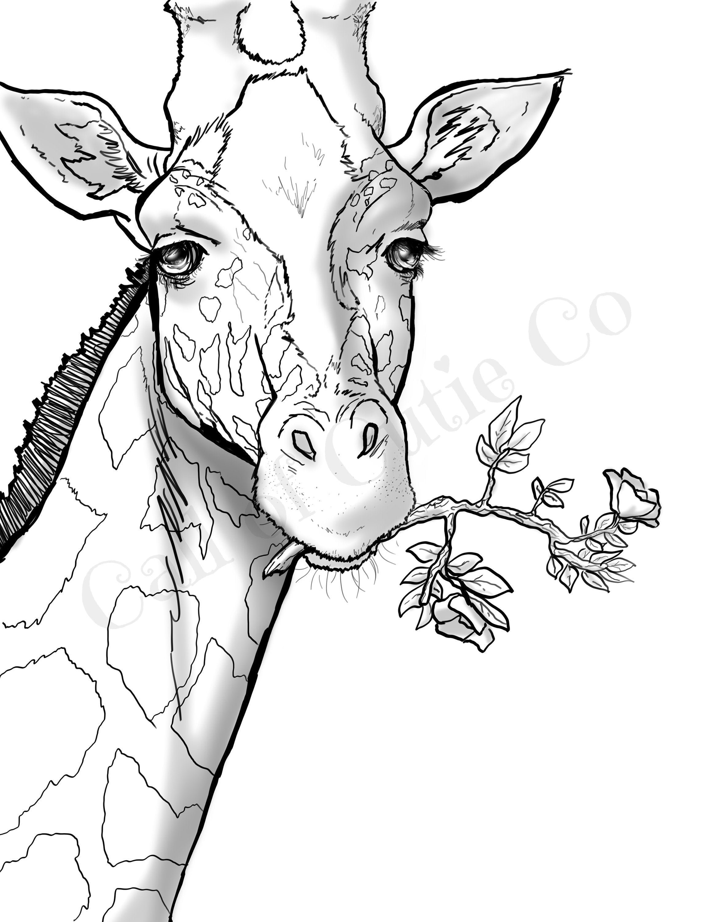 Giraffe Coloring Pages Free Printable 57