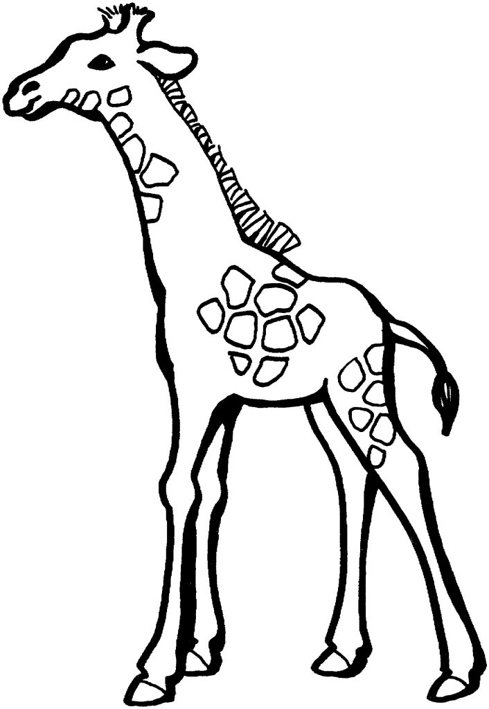 Giraffe Coloring Pages Free Printable 58