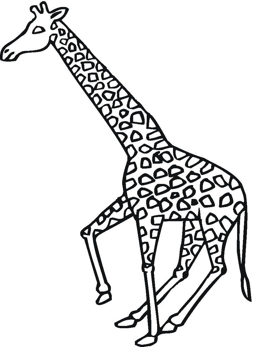 Giraffe Coloring Pages Free Printable 59