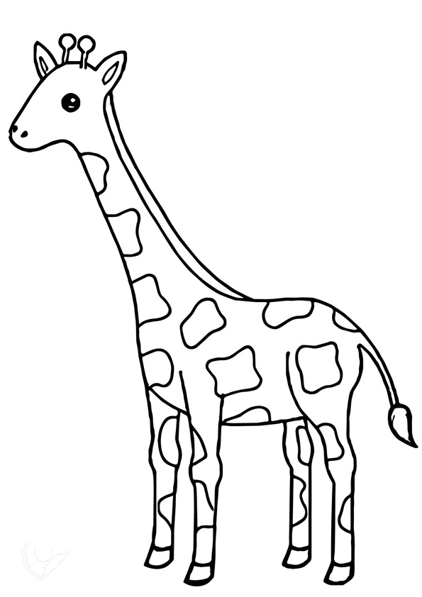 Giraffe Coloring Pages Free Printable 62