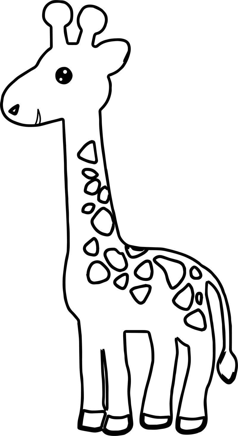 Giraffe Coloring Pages Free Printable 64