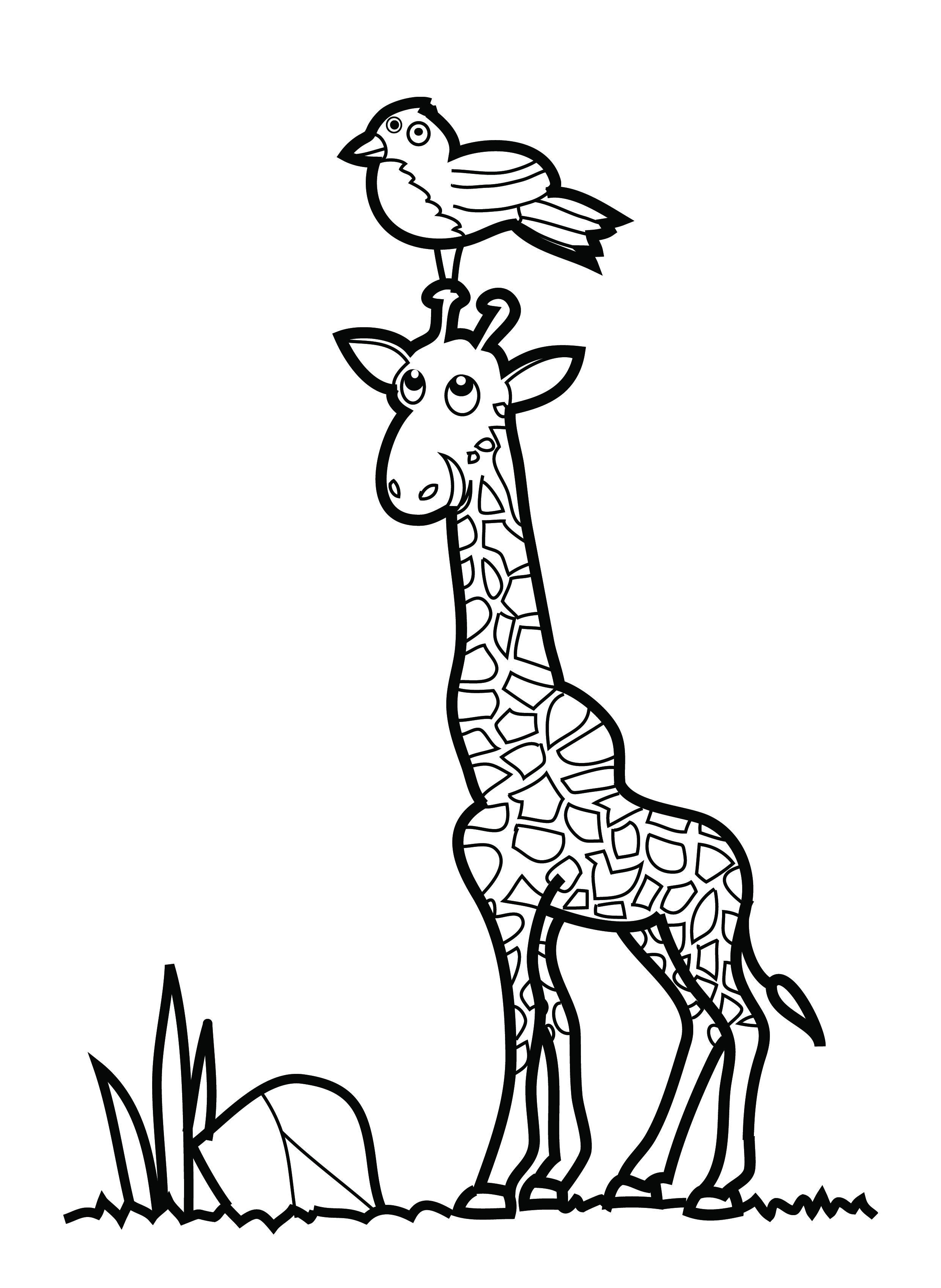 Giraffe Coloring Pages Free Printable 66