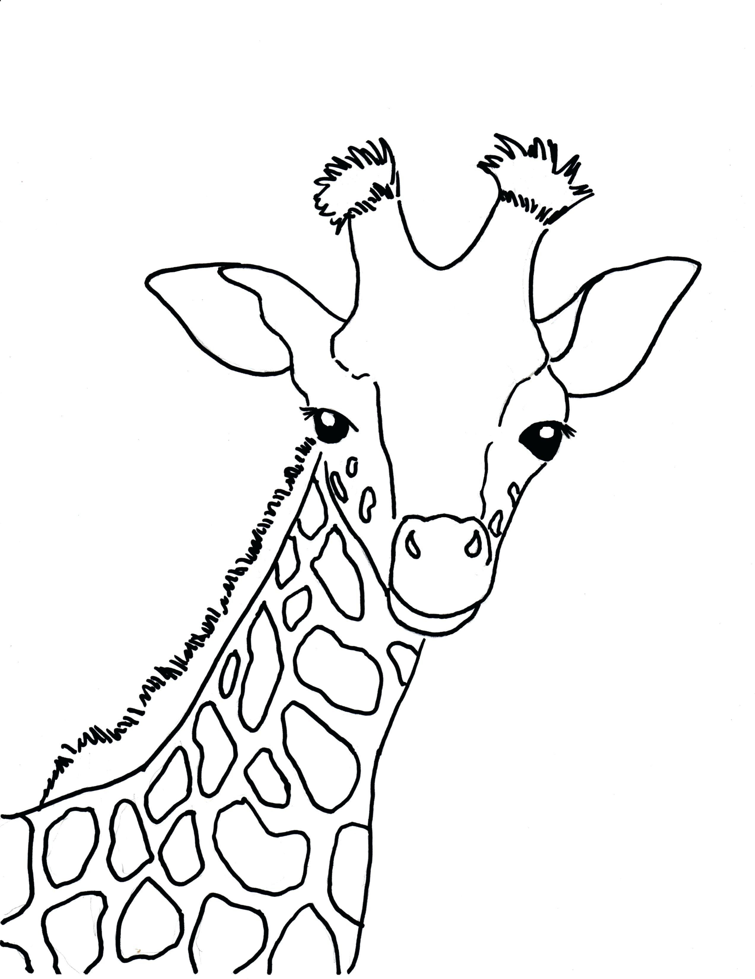 Giraffe Coloring Pages Free Printable 67