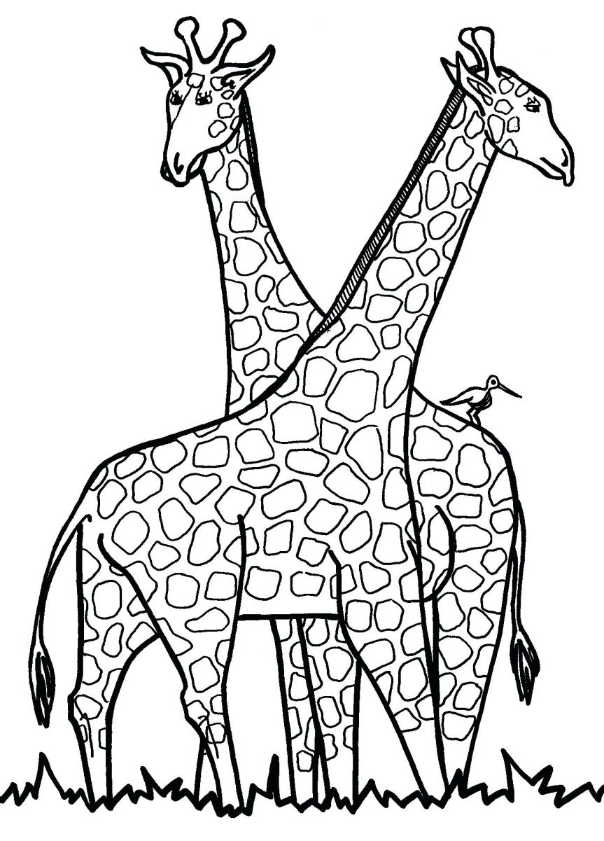 Giraffe Coloring Pages Free Printable 69