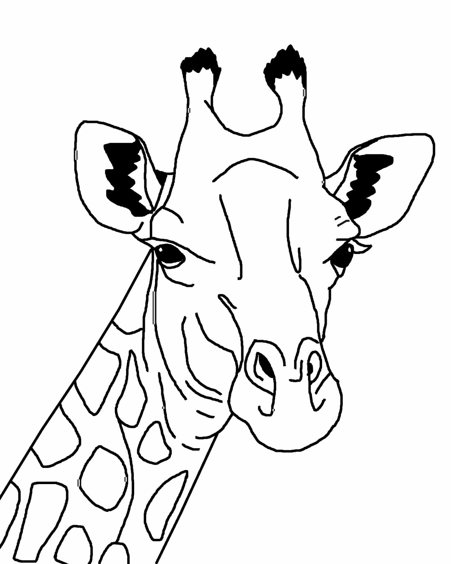 Giraffe Coloring Pages Free Printable 73