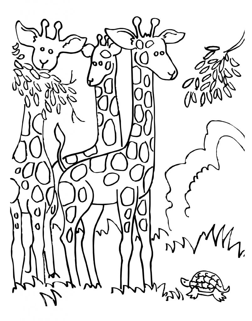 Giraffe Coloring Pages Free Printable 75