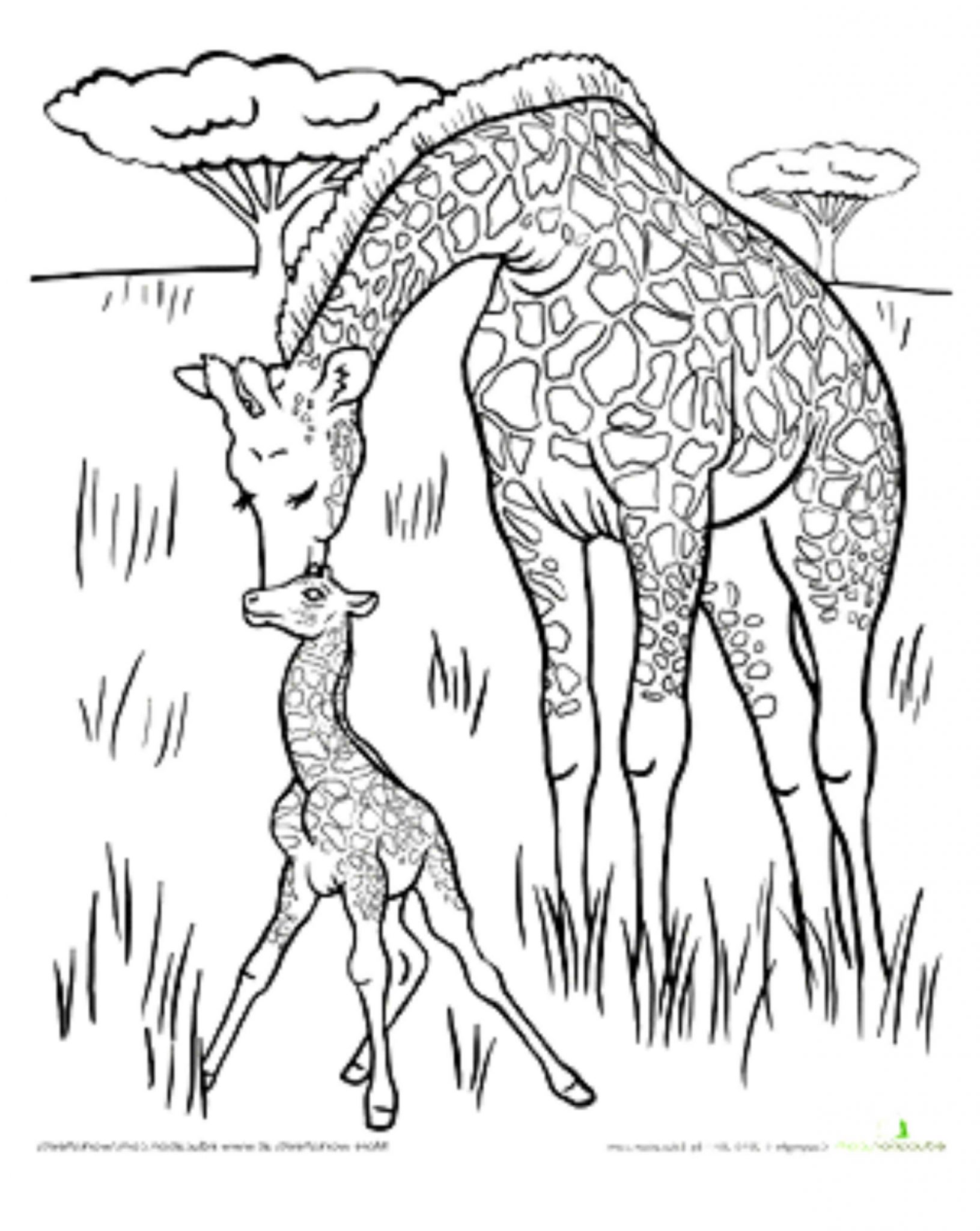 Giraffe Coloring Pages Free Printable 76