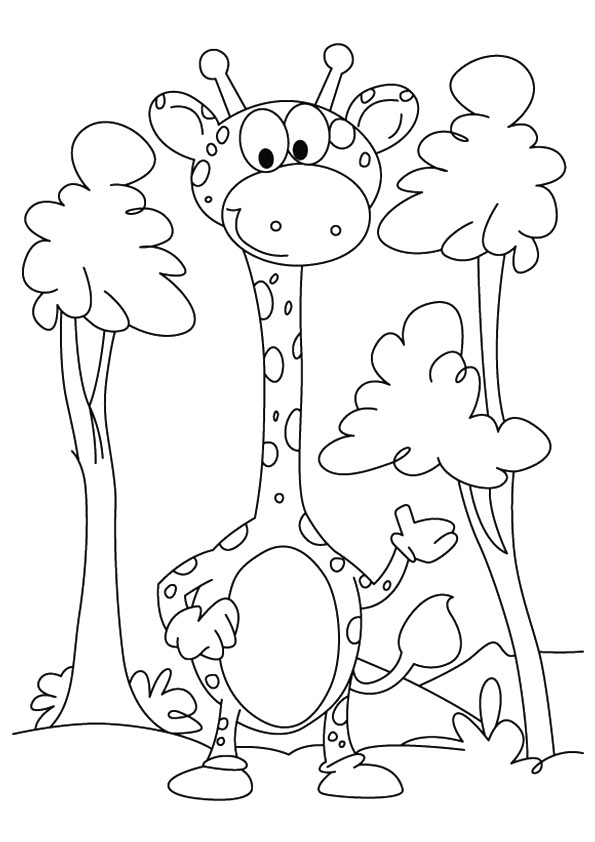 Giraffe Coloring Pages Free Printable 77