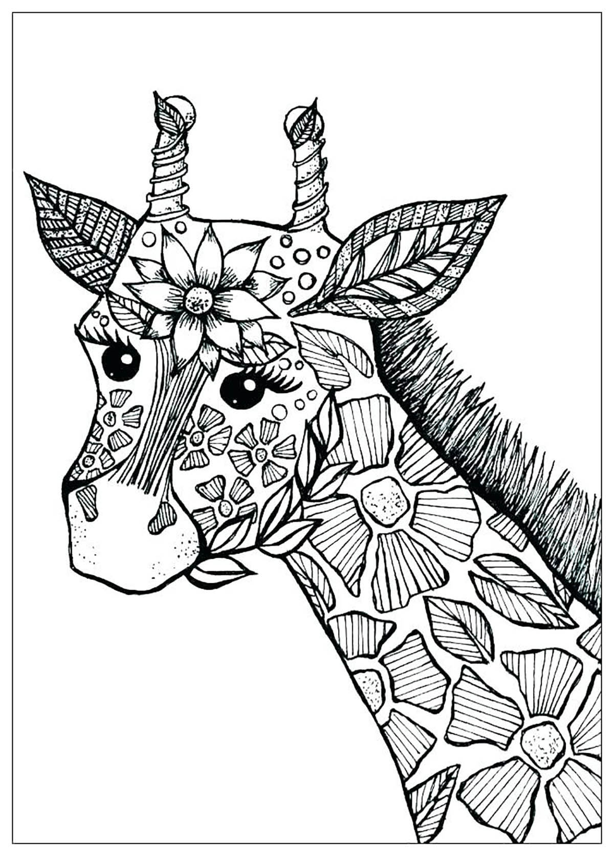 Giraffe Coloring Pages Free Printable 80