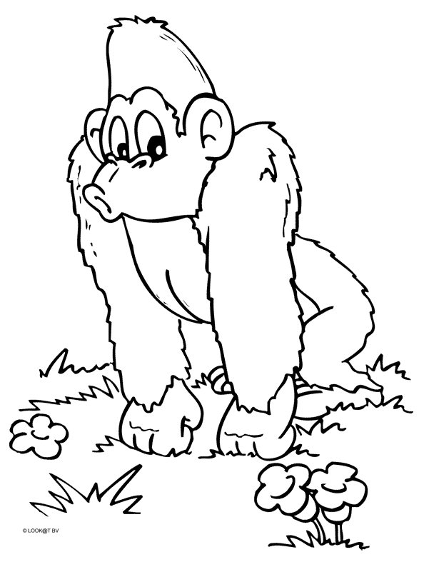 Monkey Coloring Pages Free Printable 106