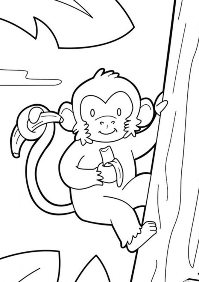 Monkey Coloring Pages Free Printable 21