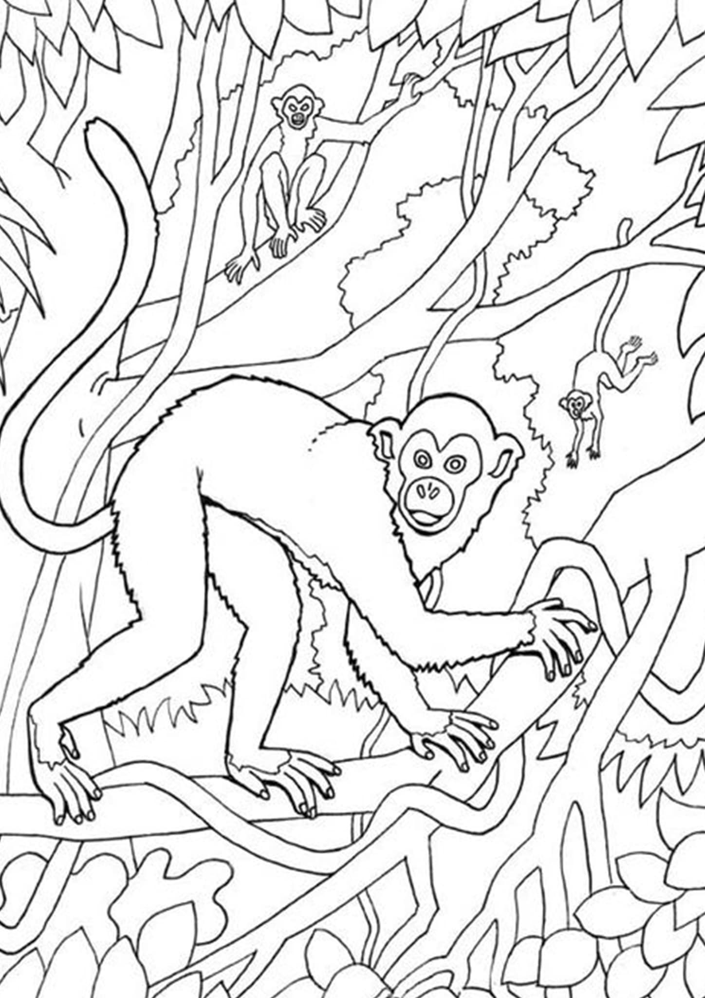 Monkey Coloring Pages Free Printable 31