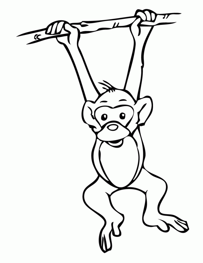 Monkey Coloring Pages Free Printable 33