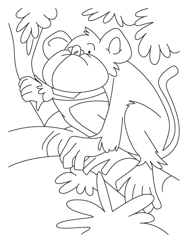 Monkey Coloring Pages Free Printable 37