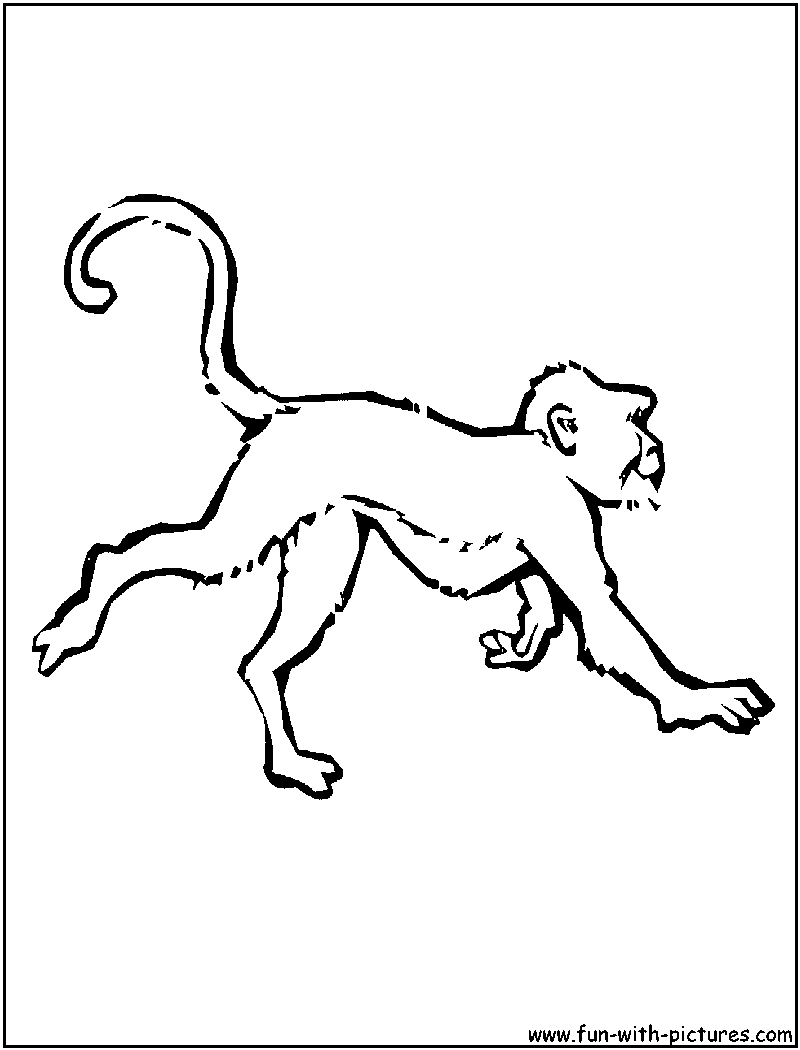 Monkey Coloring Pages Free Printable 38