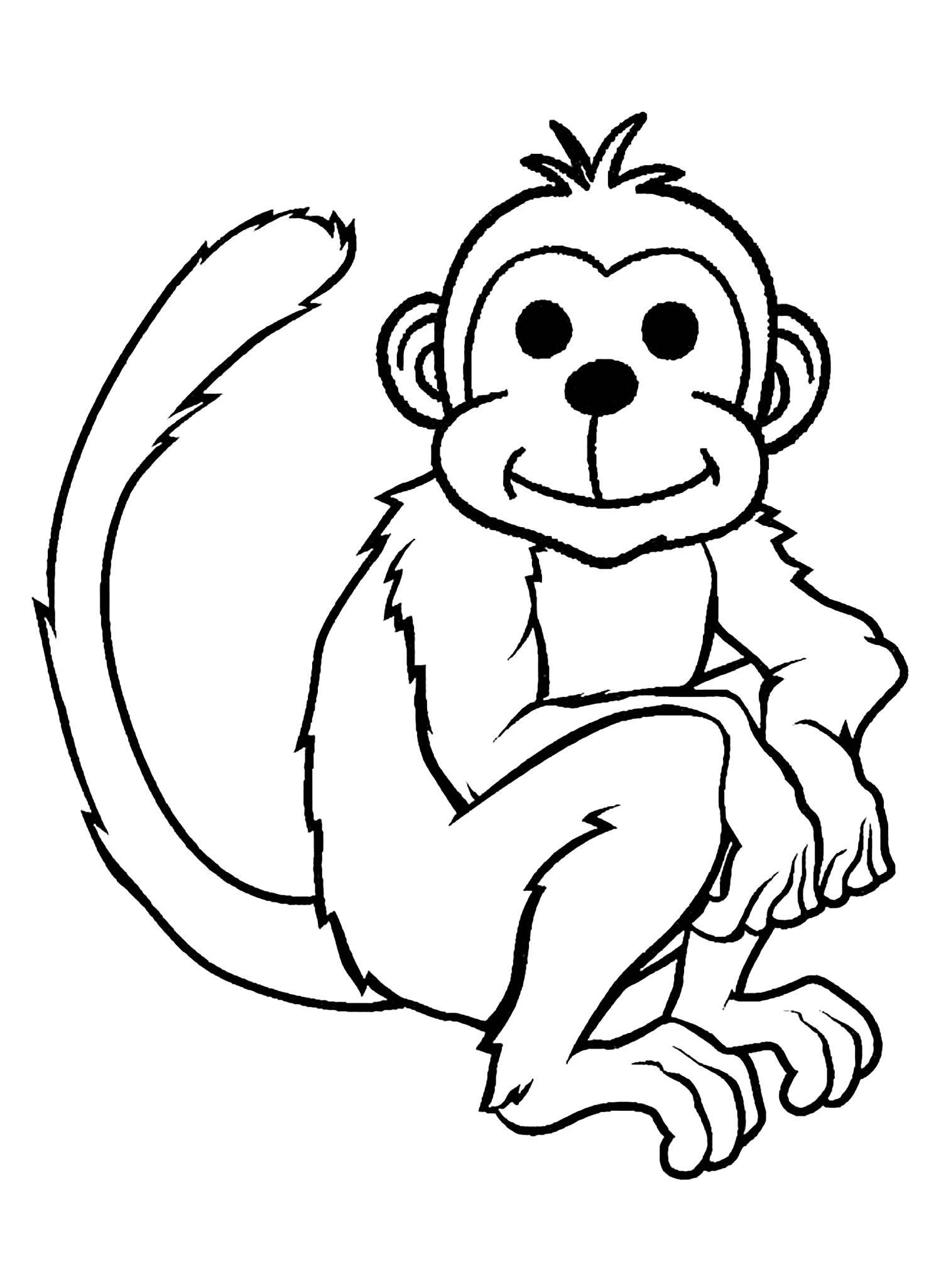 Monkey Coloring Pages Free Printable 48