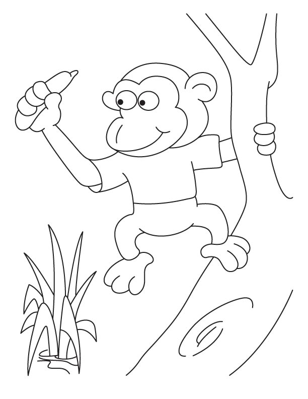 Monkey Coloring Pages Free Printable 57