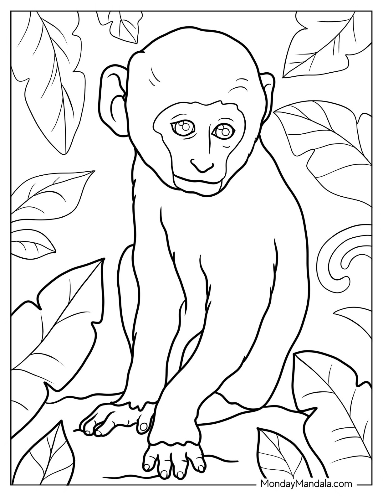 Monkey Coloring Pages Free Printable 63