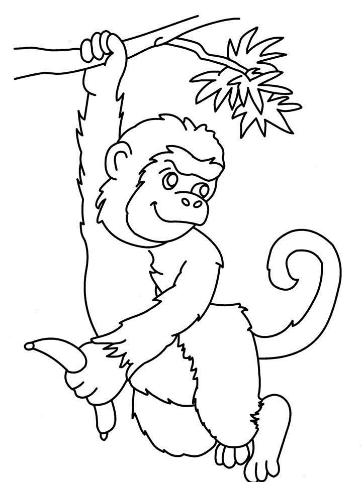 Monkey Coloring Pages Free Printable 7