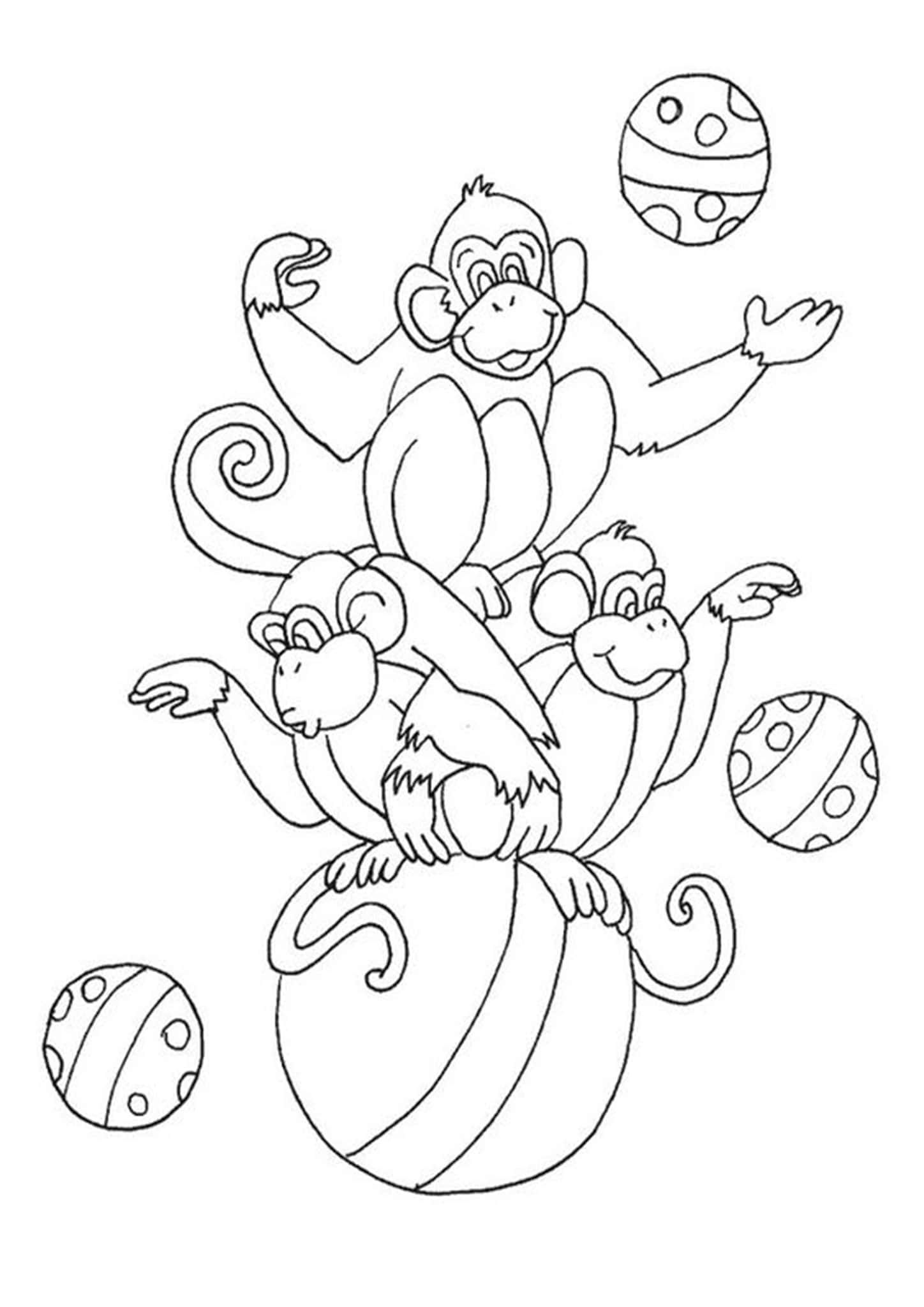 Monkey Coloring Pages Free Printable 78