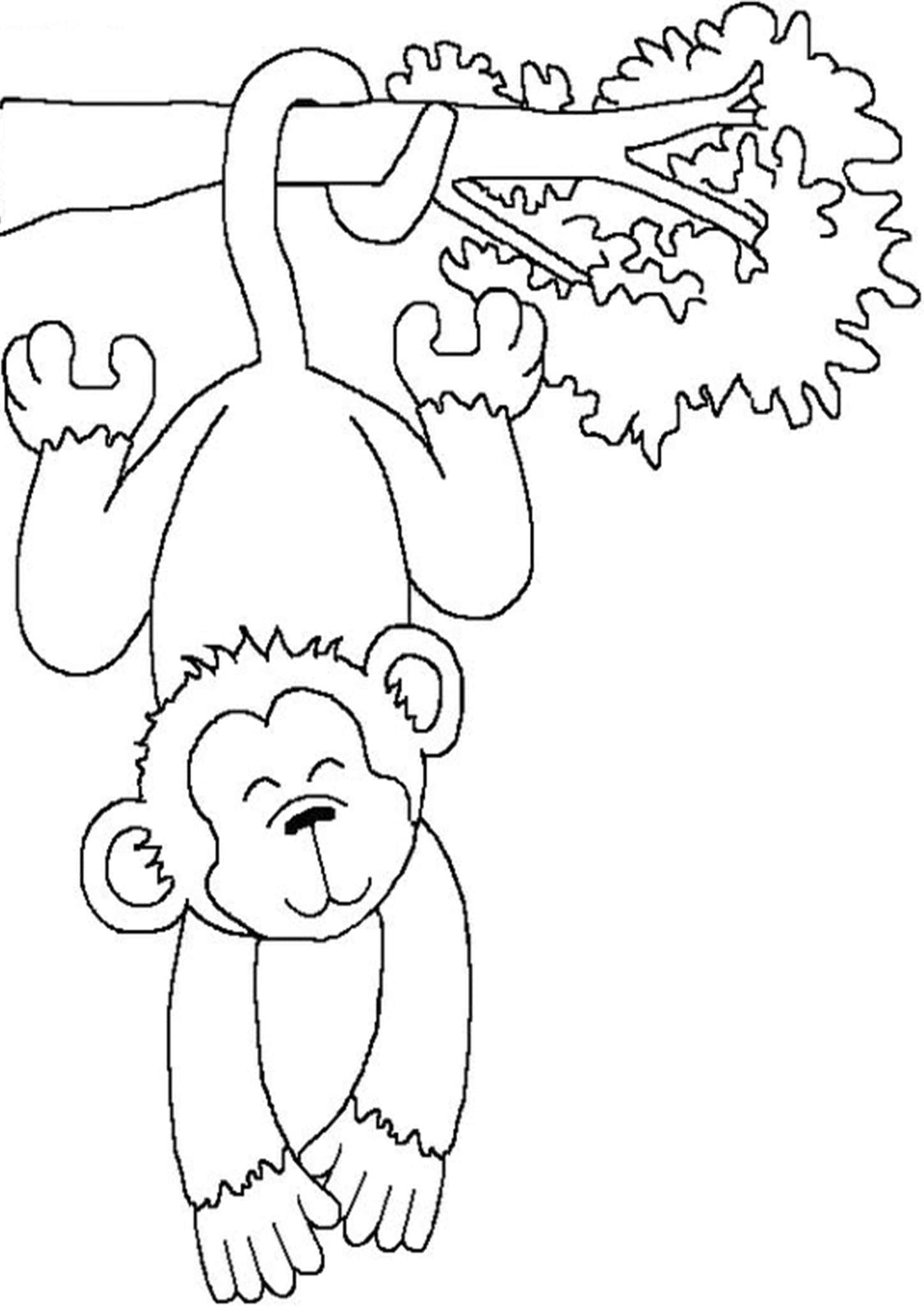 Monkey Coloring Pages Free Printable 86