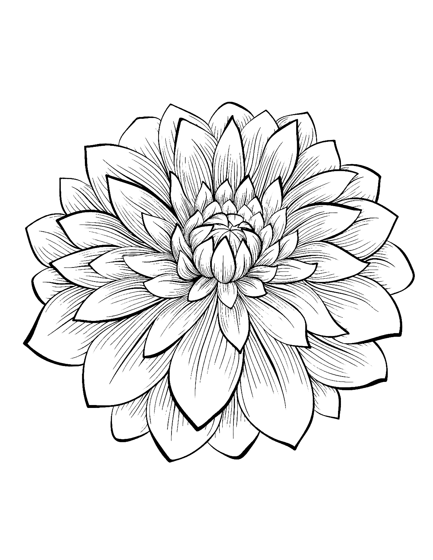 Printable Flower Coloring Pages Aesthetic 106