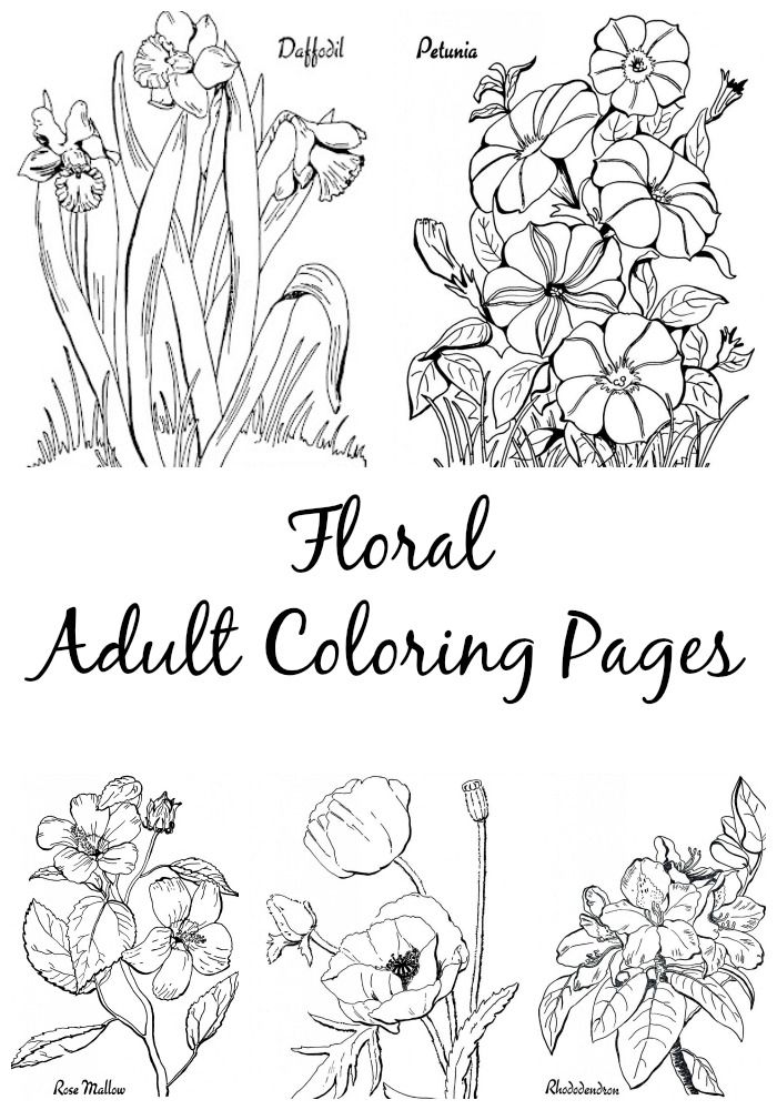 Printable Flower Coloring Pages Aesthetic 119