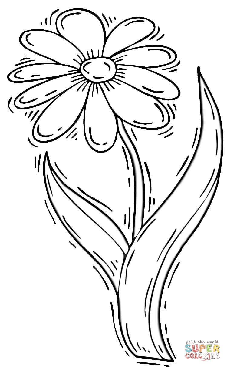 Printable Flower Coloring Pages Aesthetic 136