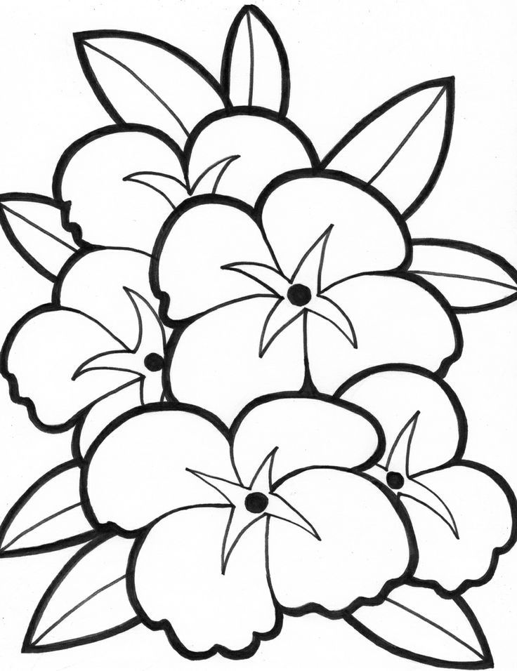 Printable Flower Coloring Pages Aesthetic 140