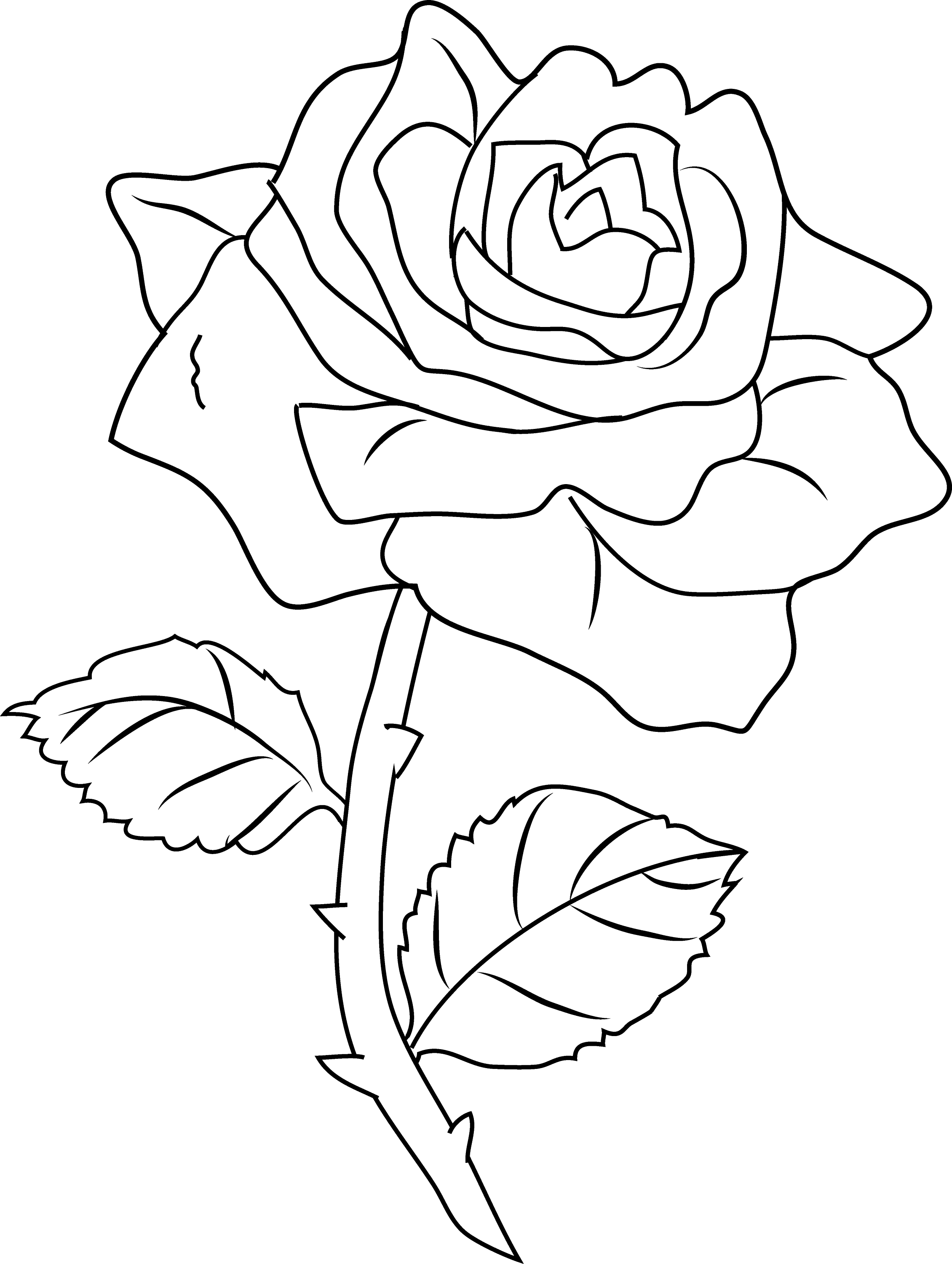 Printable Flower Coloring Pages Aesthetic 144