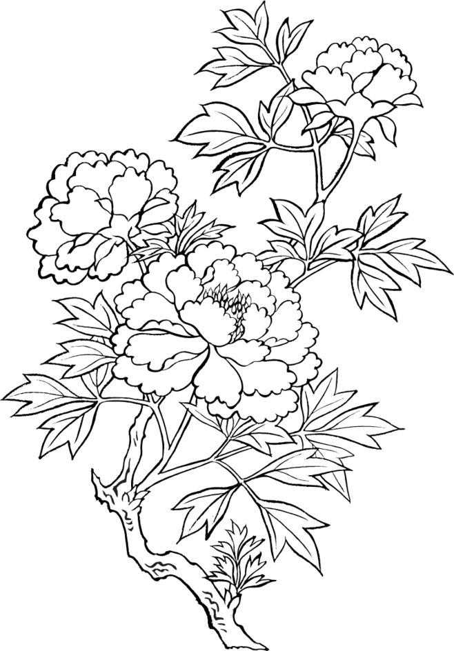 Printable Flower Coloring Pages Aesthetic 148