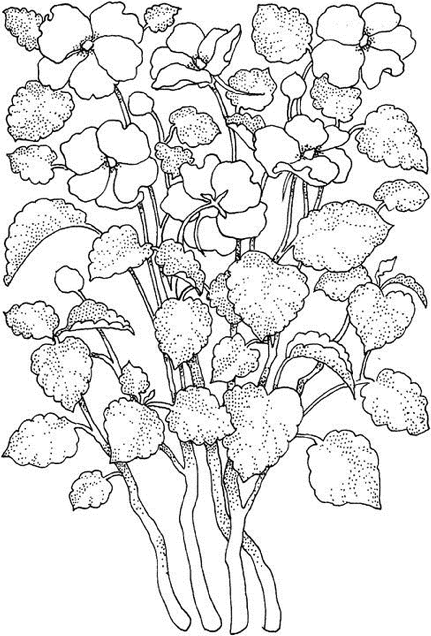 Printable Flower Coloring Pages Aesthetic 158