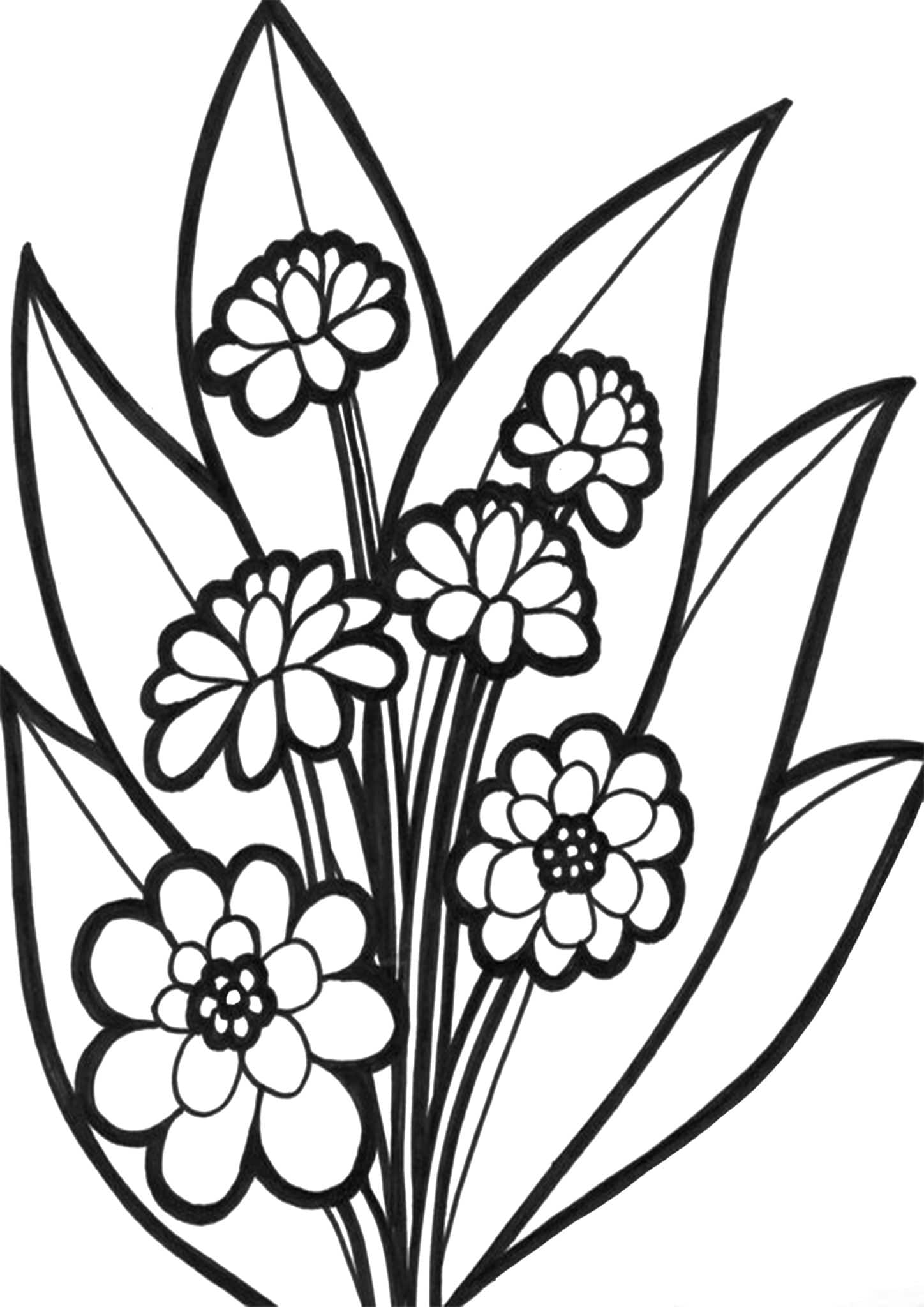 Printable Flower Coloring Pages Aesthetic 163