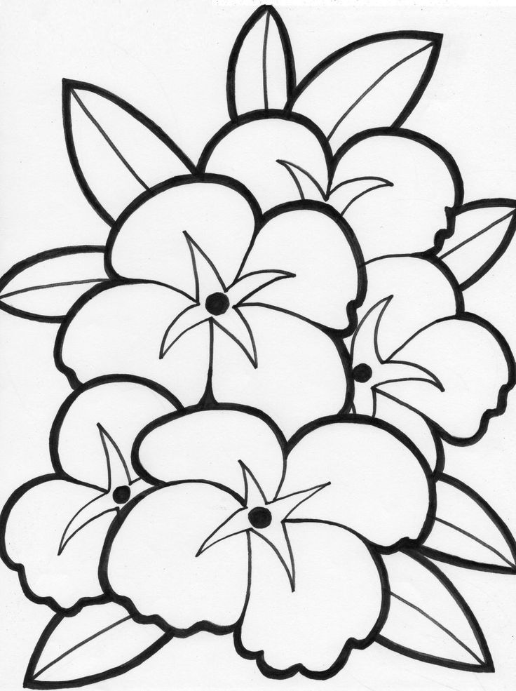 Printable Flower Coloring Pages Aesthetic 166