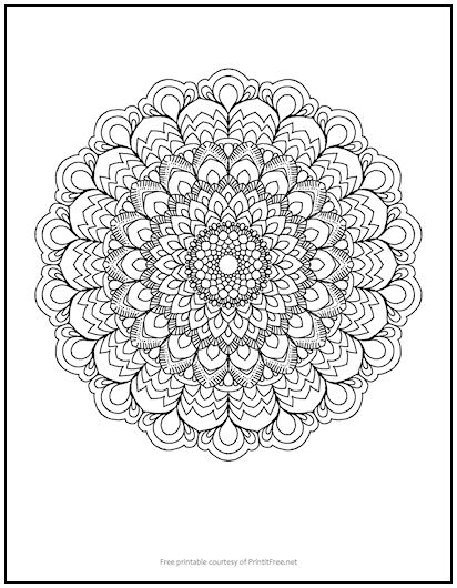 Printable Flower Coloring Pages Aesthetic 169