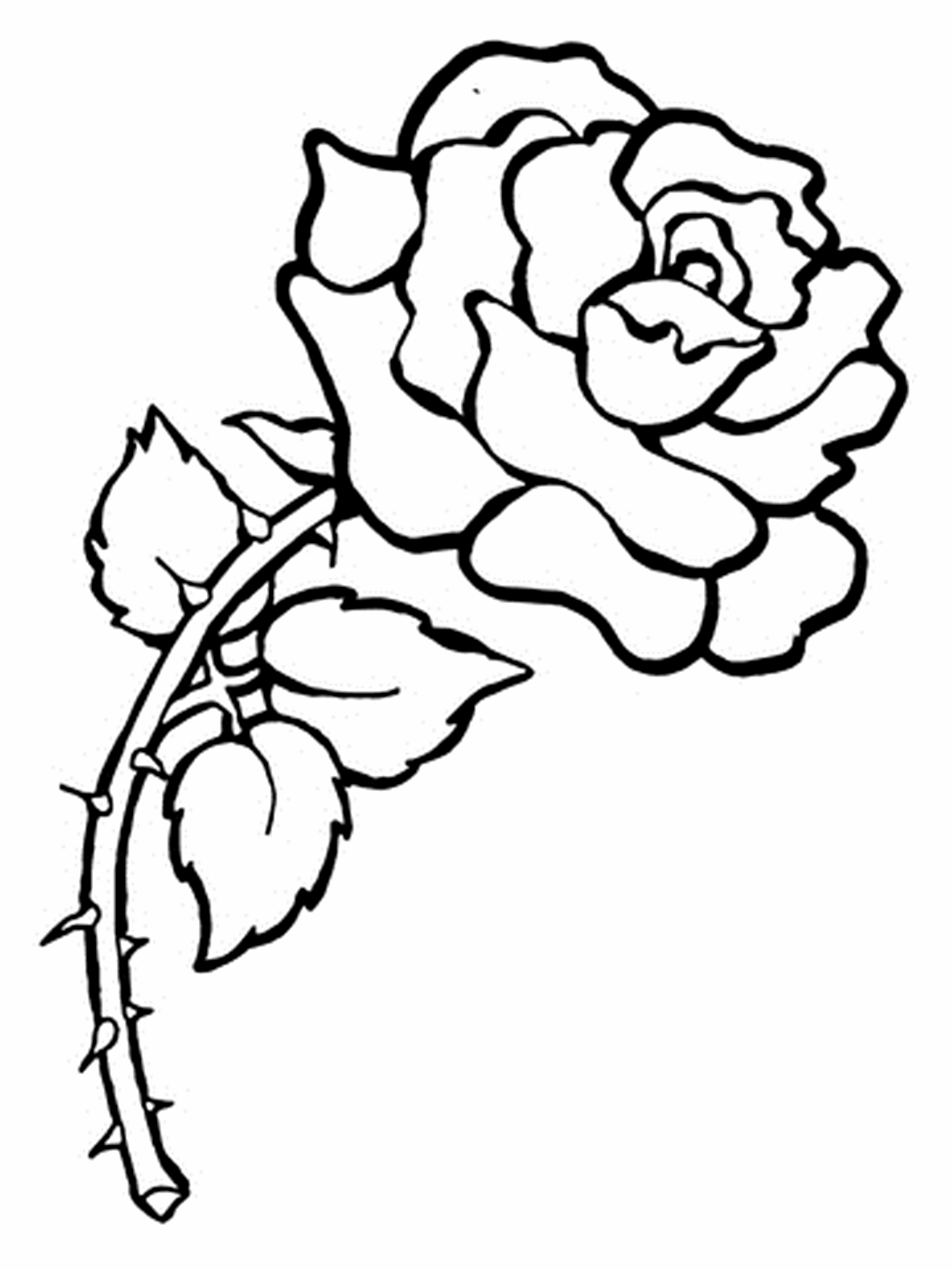 Printable Flower Coloring Pages Aesthetic 173