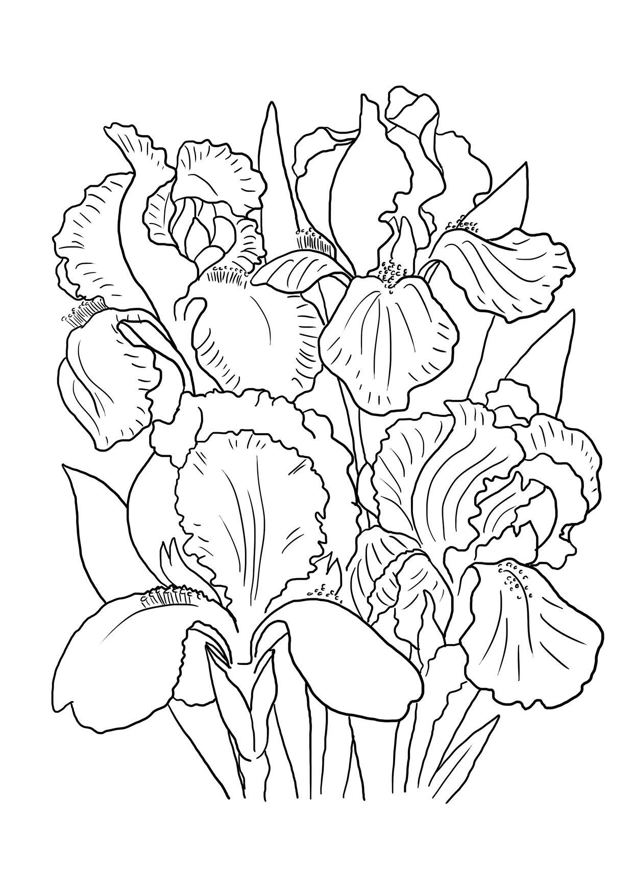 Printable Flower Coloring Pages Aesthetic 196