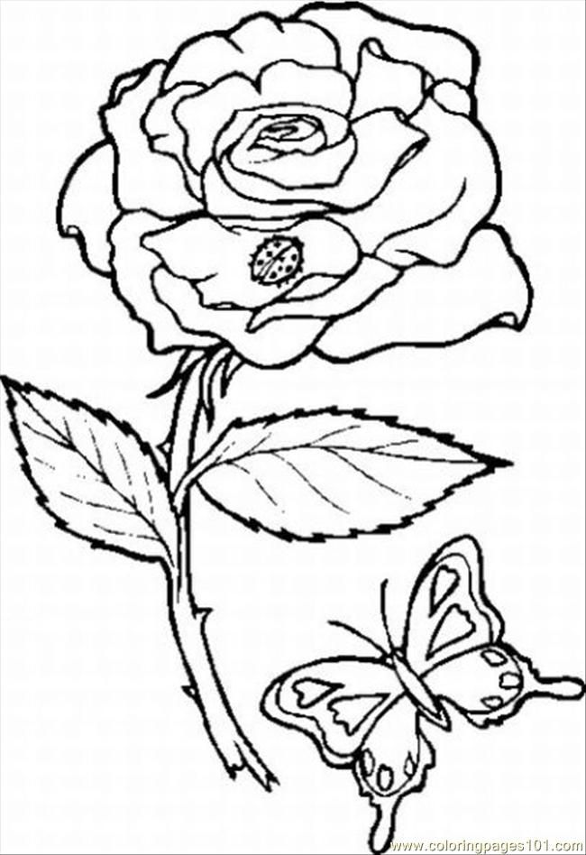 Printable Flower Coloring Pages Aesthetic 197