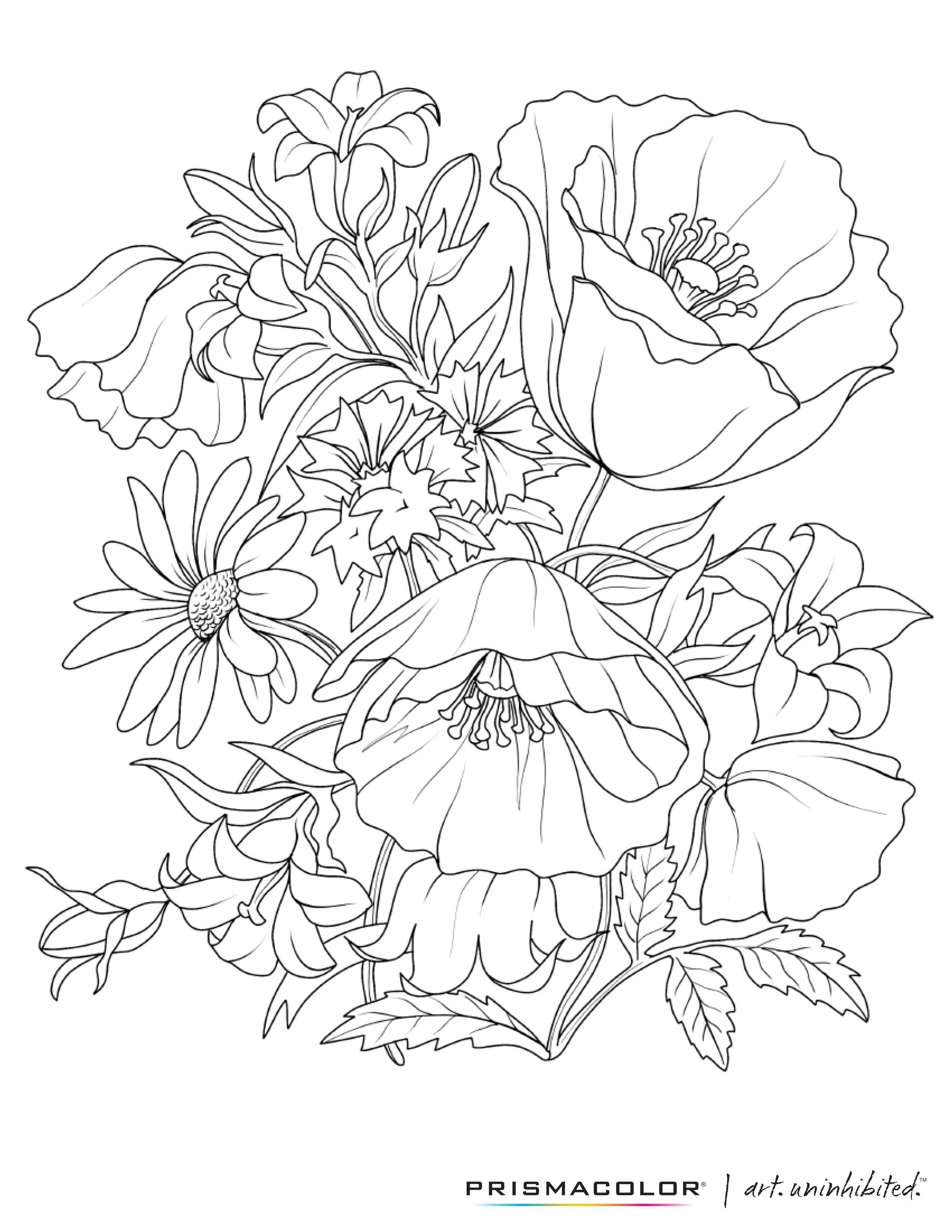 Printable Flower Coloring Pages Aesthetic 2