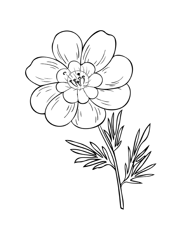 Printable Flower Coloring Pages Aesthetic 200