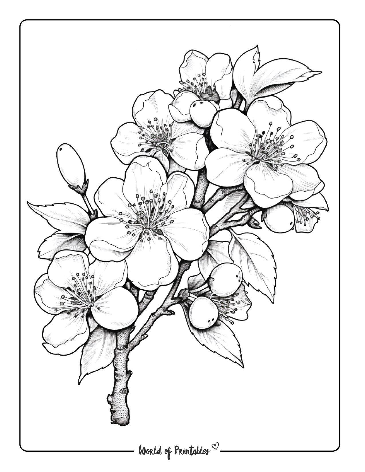 Printable Flower Coloring Pages Aesthetic 31