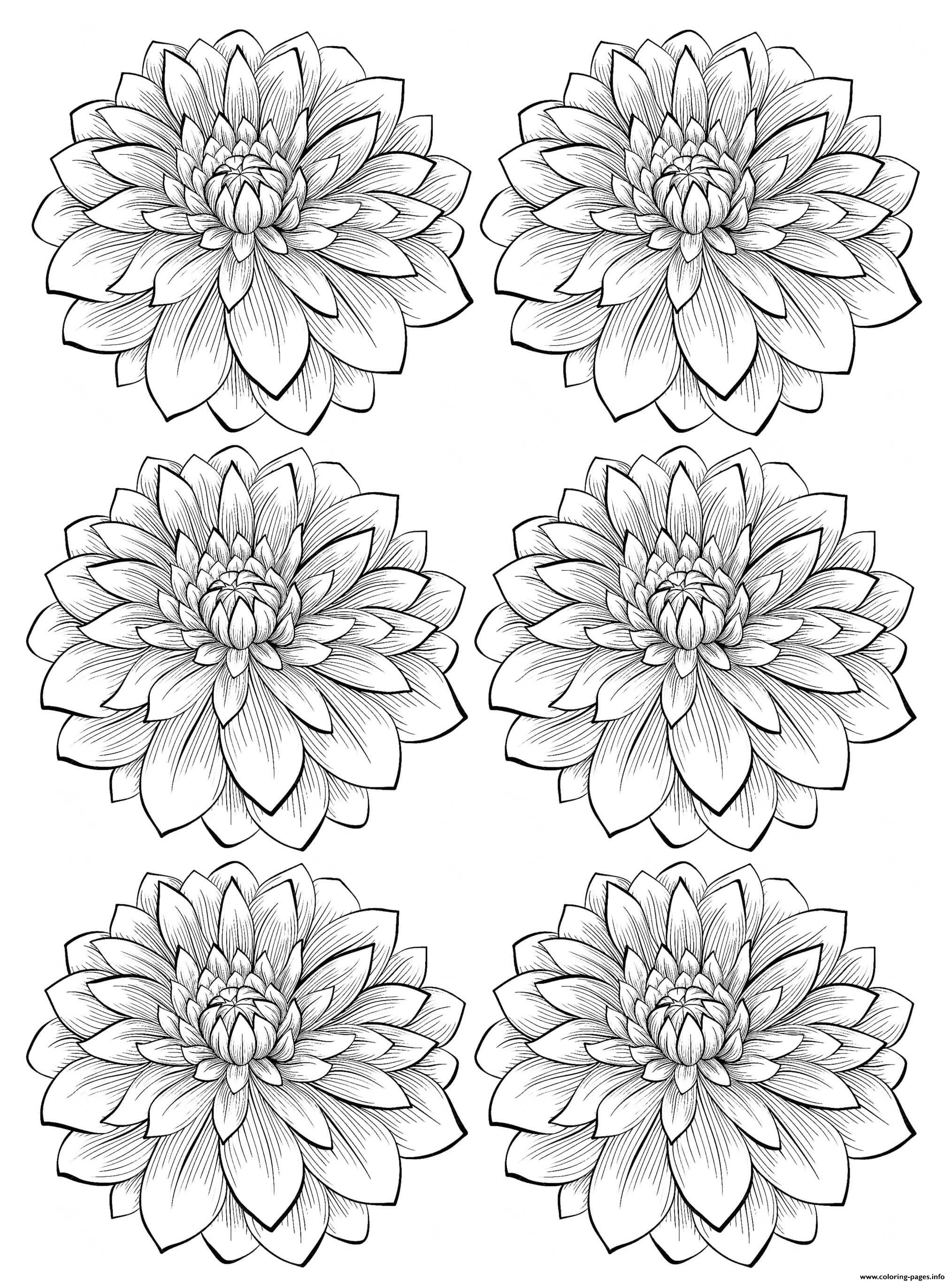 Printable Flower Coloring Pages Aesthetic 61