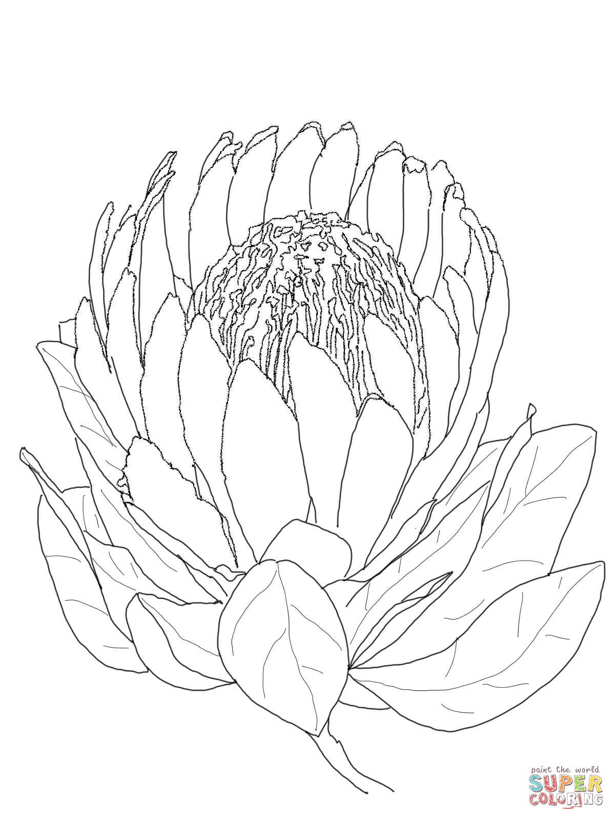 Printable Flower Coloring Pages Aesthetic 74