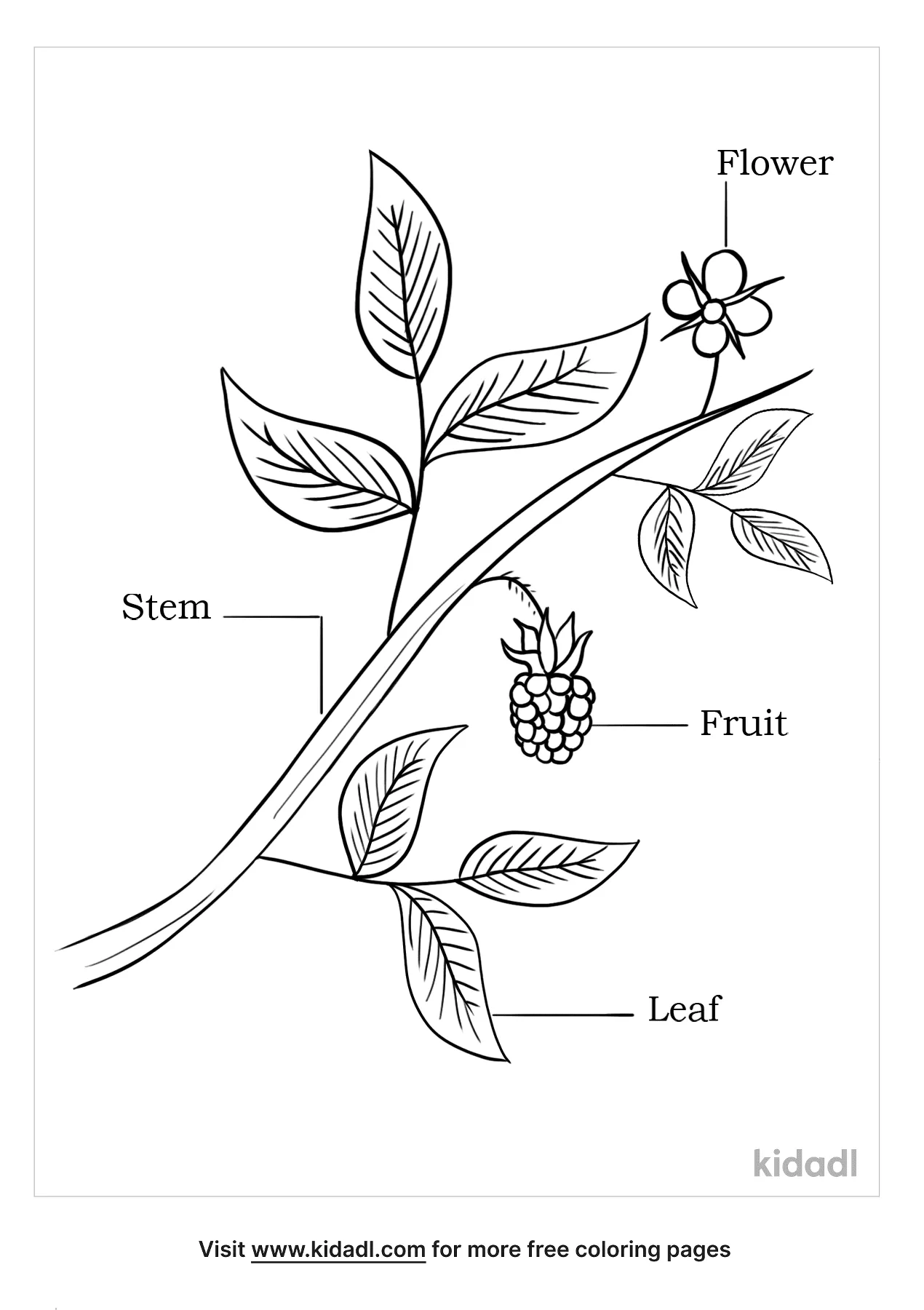 Printable Flower Coloring Pages Aesthetic 76