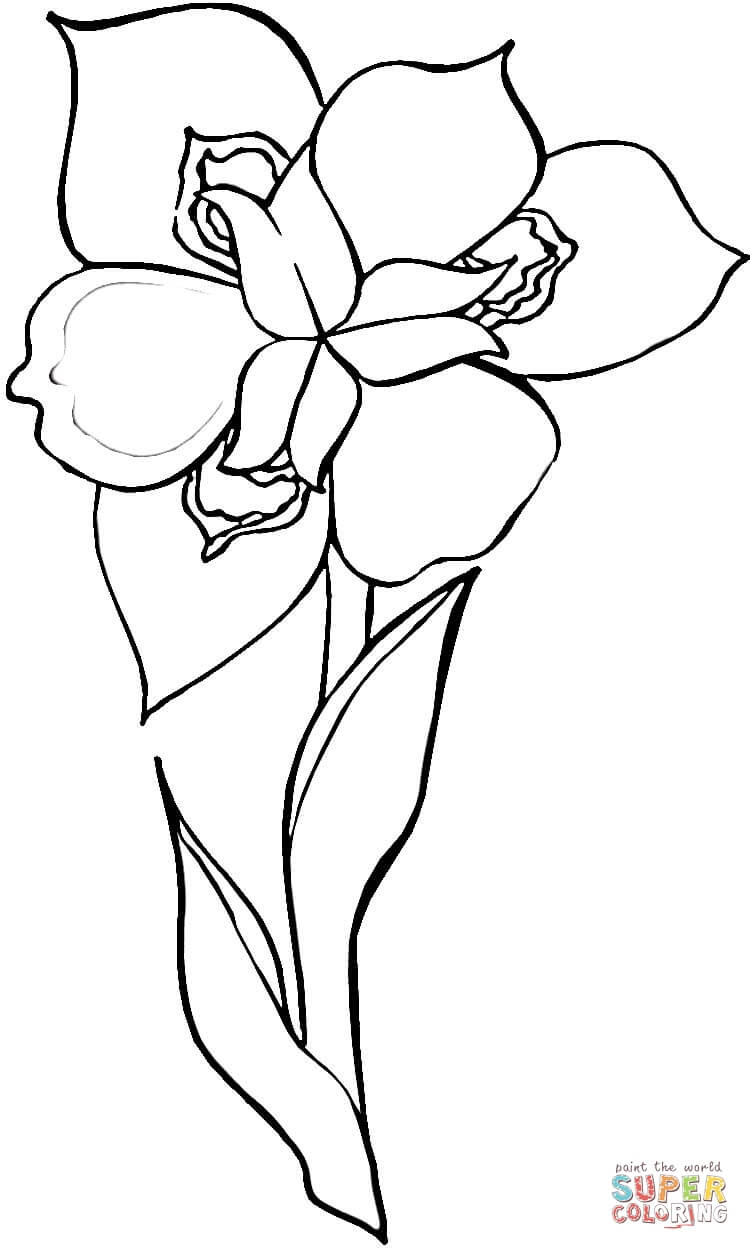 Printable Flower Coloring Pages Aesthetic 78