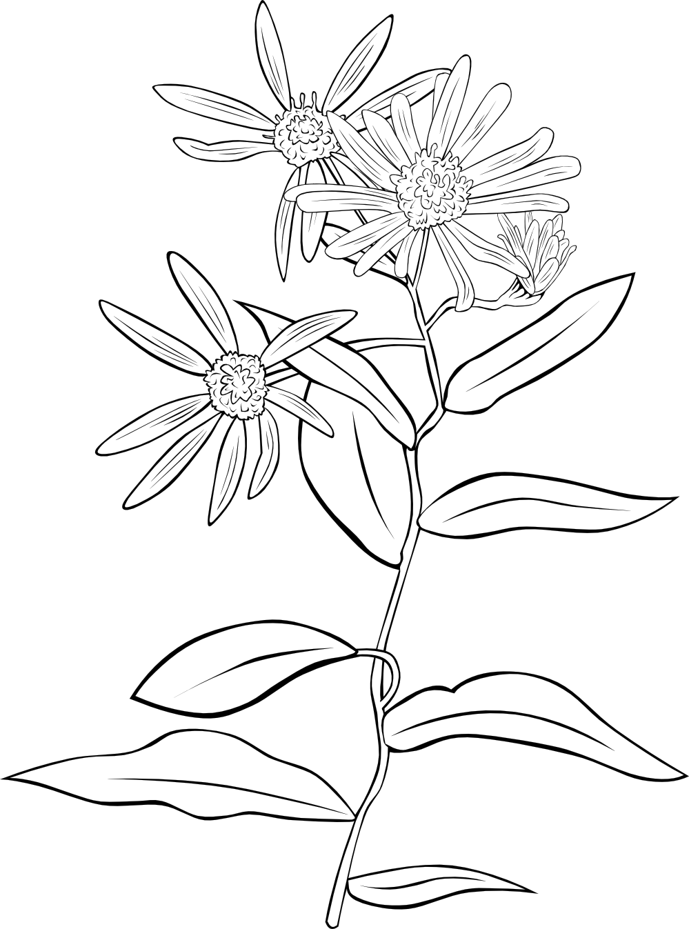 Printable Flower Coloring Pages Aesthetic 87